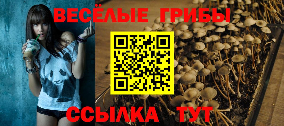 Усть-Илимск  Псилоцибиновые грибы ЛСД  Вход с VPN  Псилоцибиновые грибы прущие грибы 